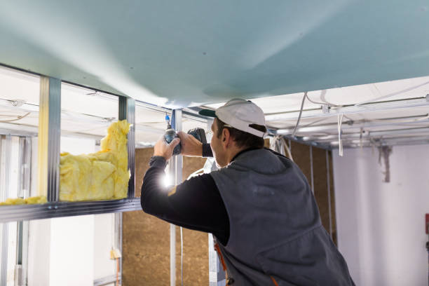 Best Residential Insulation in Laureles, TX